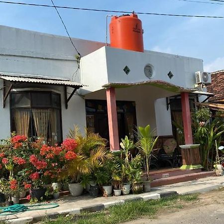 Owl Hostel Karimunjawa Exterior photo
