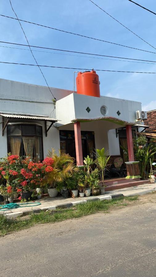 Owl Hostel Karimunjawa Exterior photo